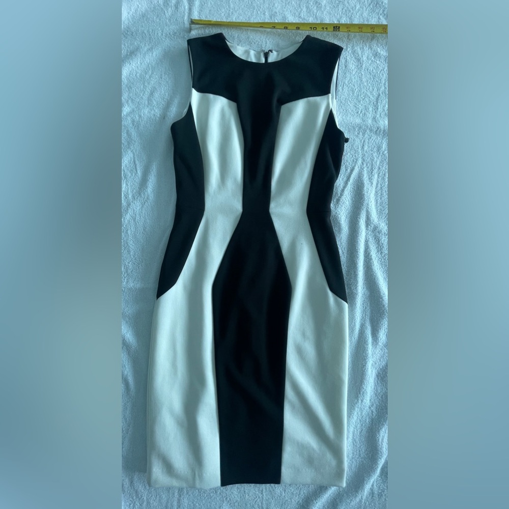 Calvin Klein fitted dress.